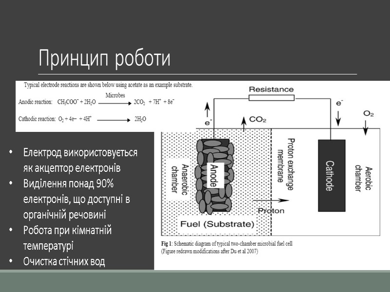 Принцип роботи Електрод використовується як акцептор електронів Виділення понад 90% електронів, що доступні в